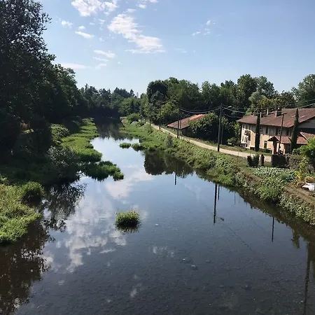 L'ago Nel Pagliaio